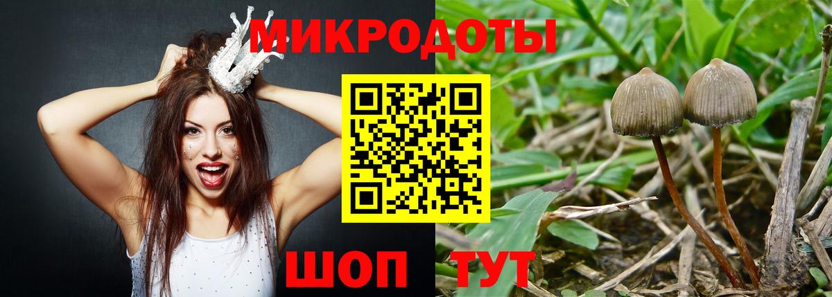 Муравленко  Псилоцибиновые грибы мухоморы  наркота  Вход с VPN 